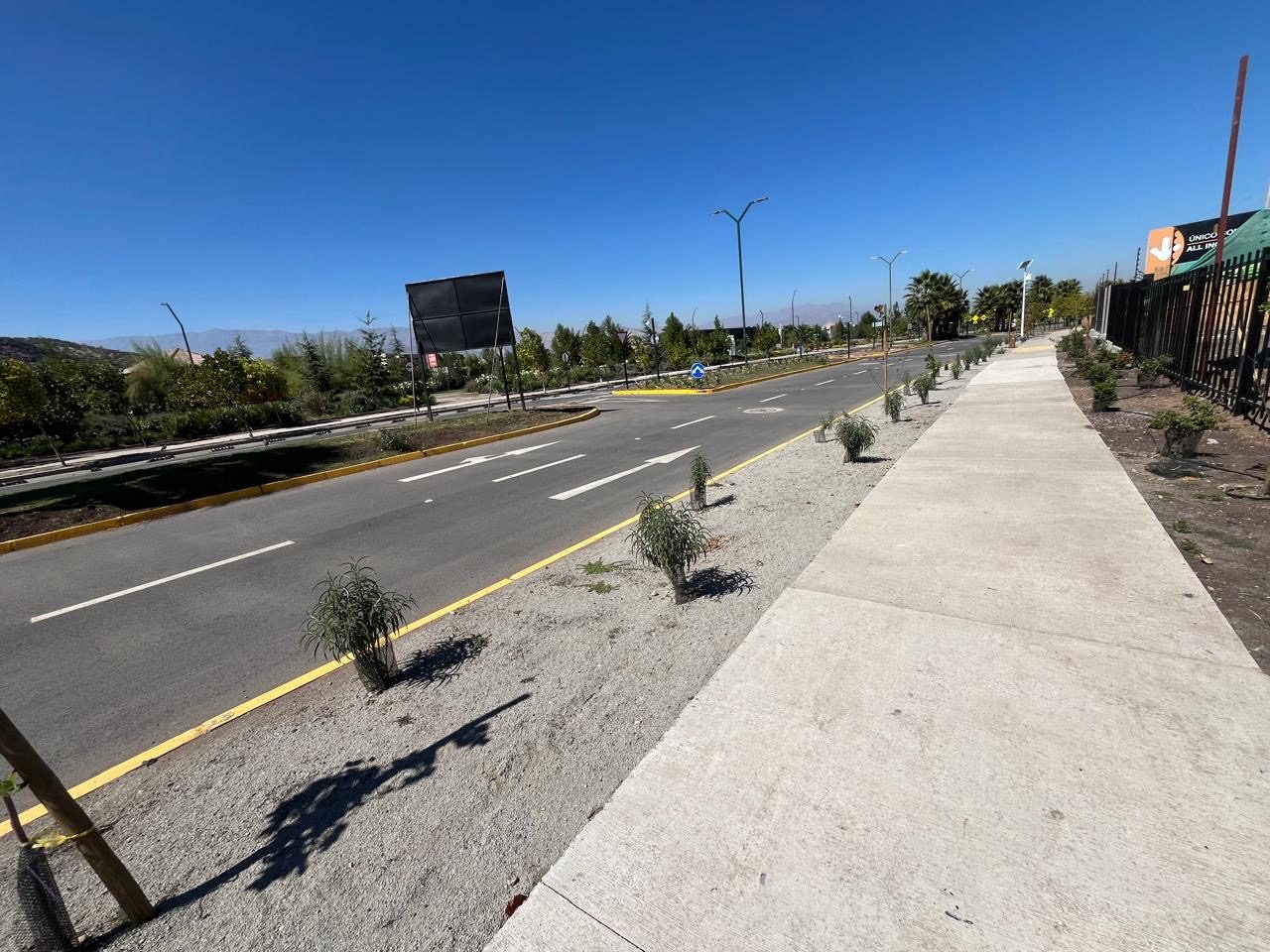 Avenida con demarcación, soleras amarillas y arborización