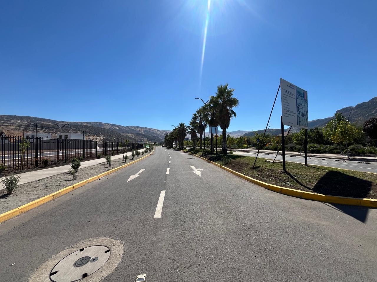 Vía urbana con palmeras, soleras y letrero de obra de pavimentación